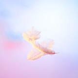 L_XING杏的头像