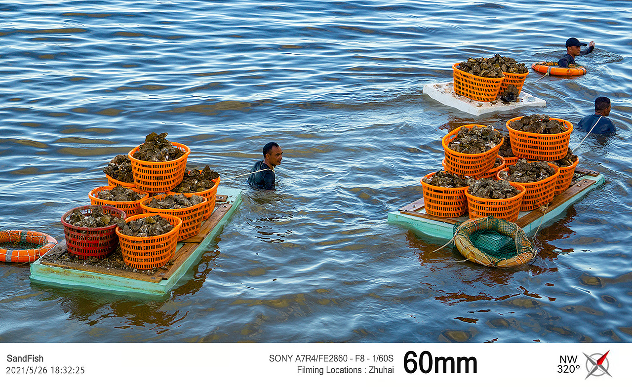 蓝天下得采蚝人2021.5.26（图ZMjU5NjU5NDUy） - 风光摄影 - 站酷设计师拿铁生椰原创素材 - 站酷ZCOOL