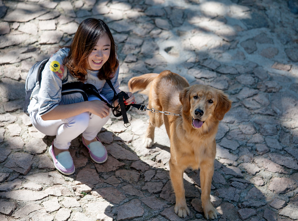 【存照】站酷9周年北京站