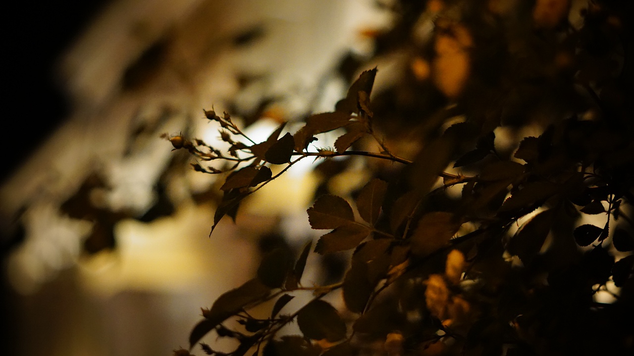 压马路随拍【1】（图ZNzgwNDgzMTI=） - 环境/建筑摄影 - 站酷设计师match3x原创素材 - 站酷ZCOOL