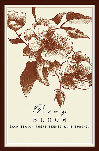 单色复古高级感插画 30张 植物花卉明信片