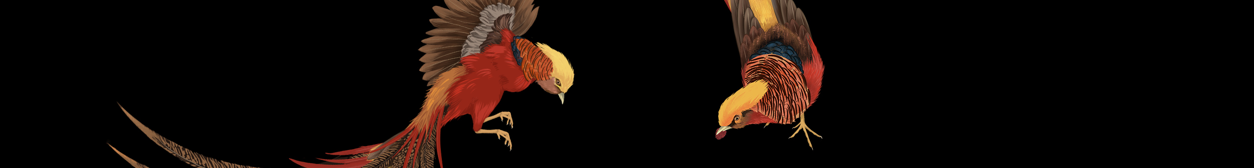 家有大喜的个人主页（封面预览） - 主页封面设置 - 站酷设计师家有大喜原创素材 - 站酷ZCOOL