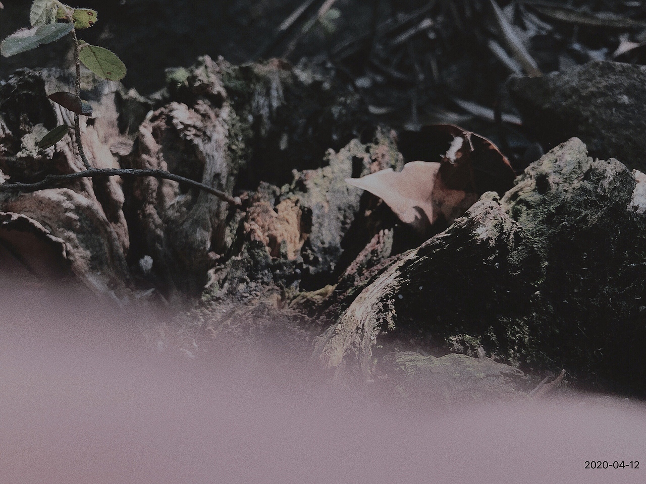 碎\（图ZMjE0ODcxNjA0） - 其他摄影 - 站酷设计师油闷罐原创素材 - 站酷ZCOOL