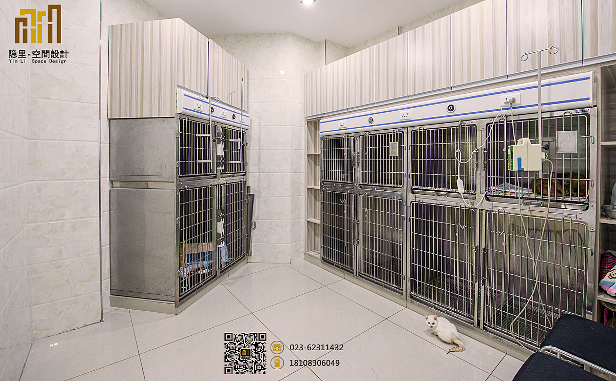协和动物医院竣工实景图隐里74空间设计