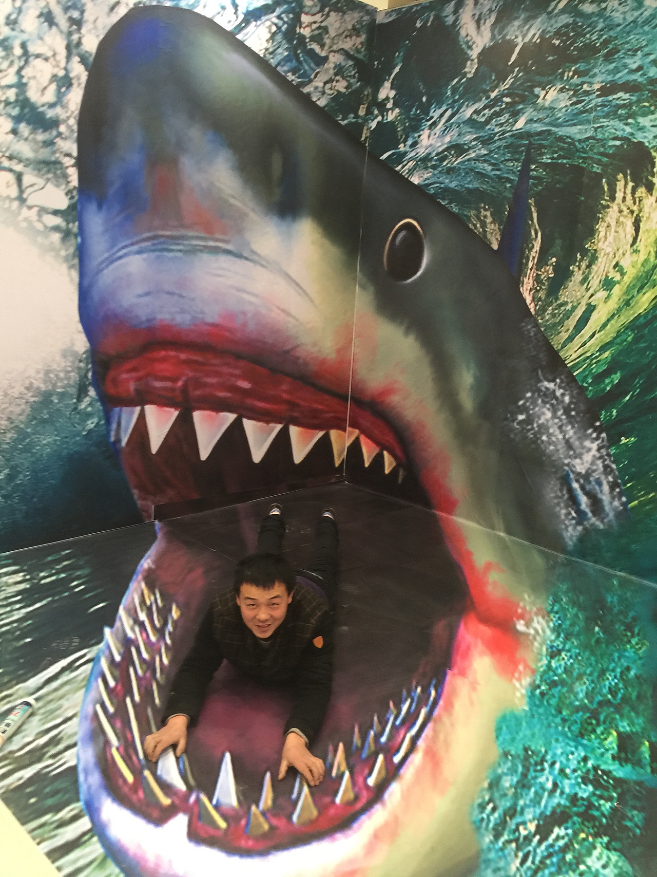 北京3d立体画3d墙地结合之大鲨鱼作品展