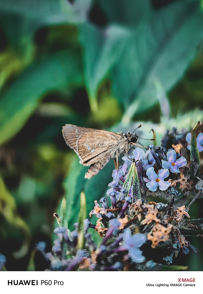 大山里的田园生活,让人心旷神怡,仿佛置身于人间仙境