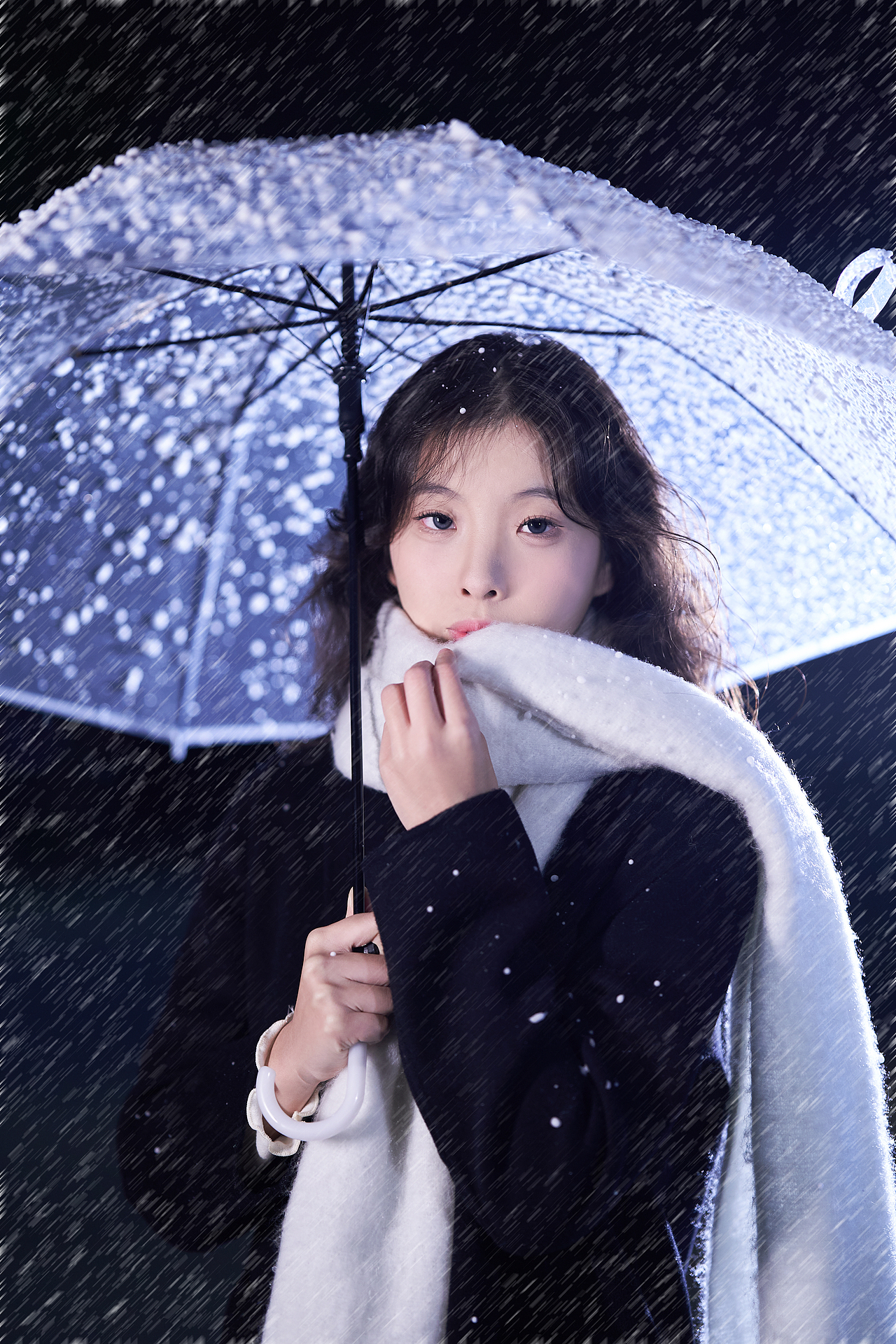 雪花写真 冬日氛围