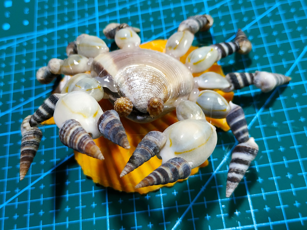 贝壳做的螃蟹|手工艺|手办/模玩|喜欢手工的人_原创作品-站酷zcool