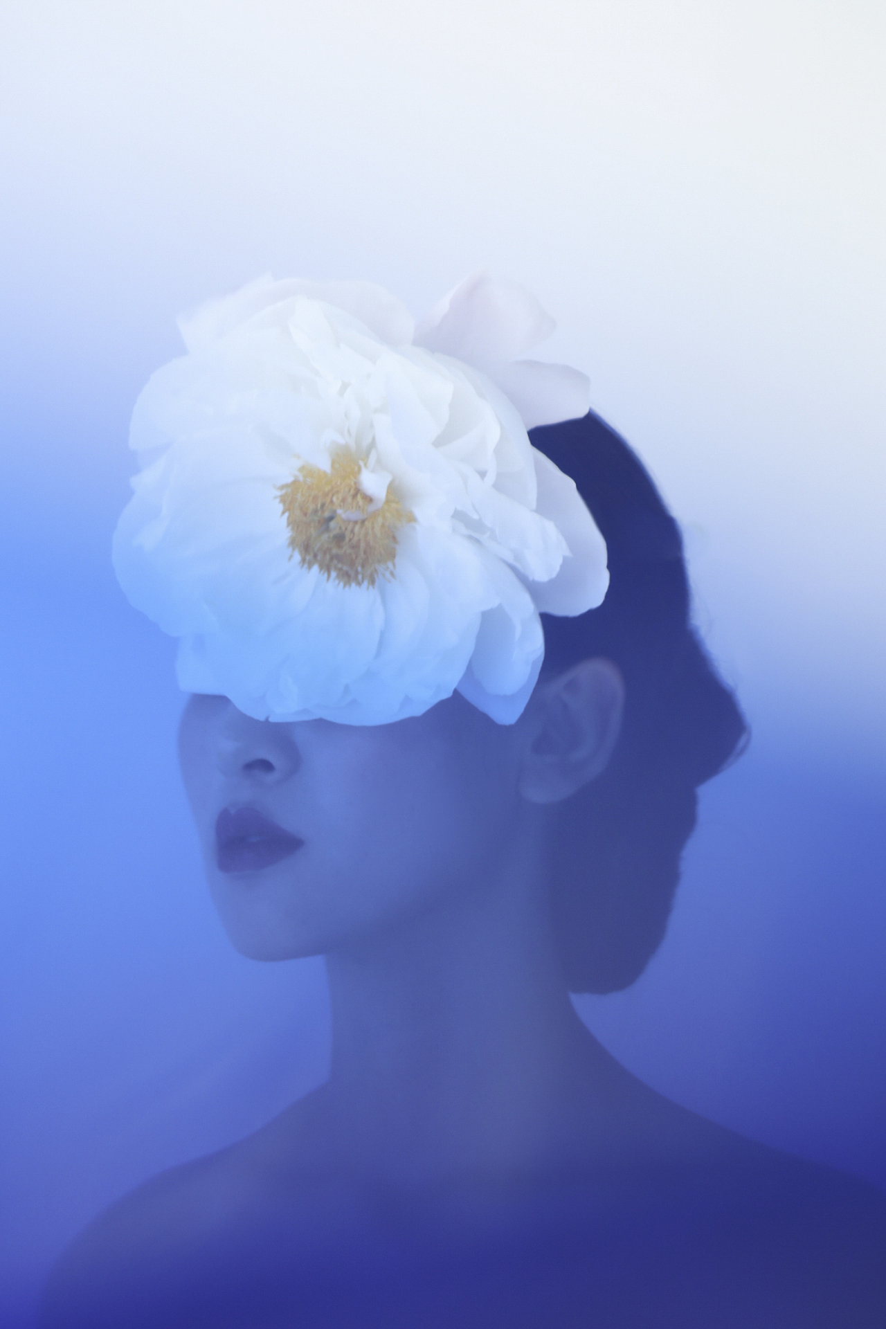 致敬自然 | 万物生长