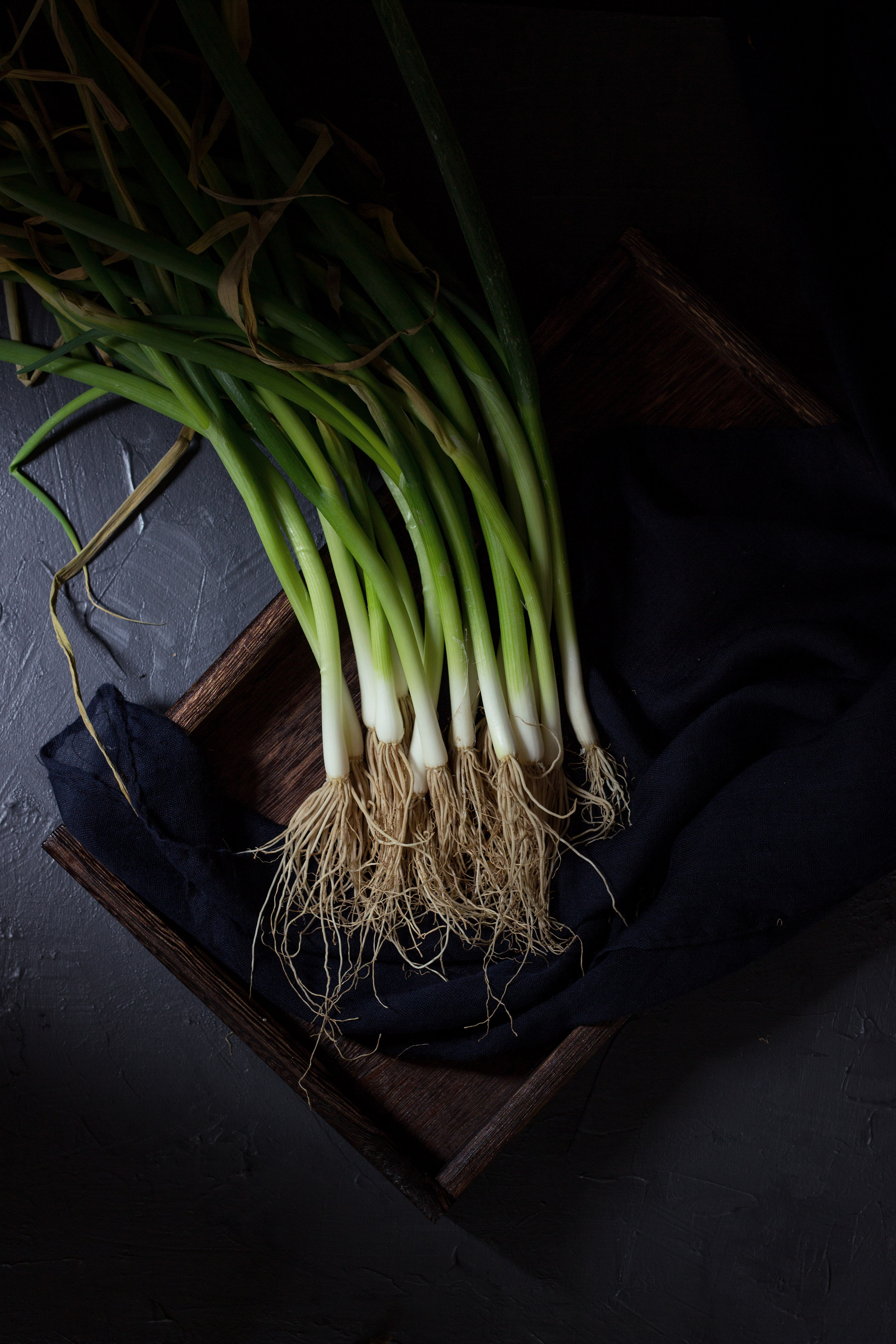 【葱】|摄影|静物|平生食记 - 原创作品 - 站酷 (zcool)