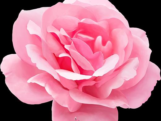 写实手绘（个人主页-ZMzU0MDQyOTY=） - 创作习作 - 站酷设计师NiedlicheSchwein原创素材 - 站酷ZCOOL