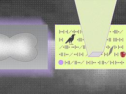 #2020青春答卷#  《再生／regeneration》