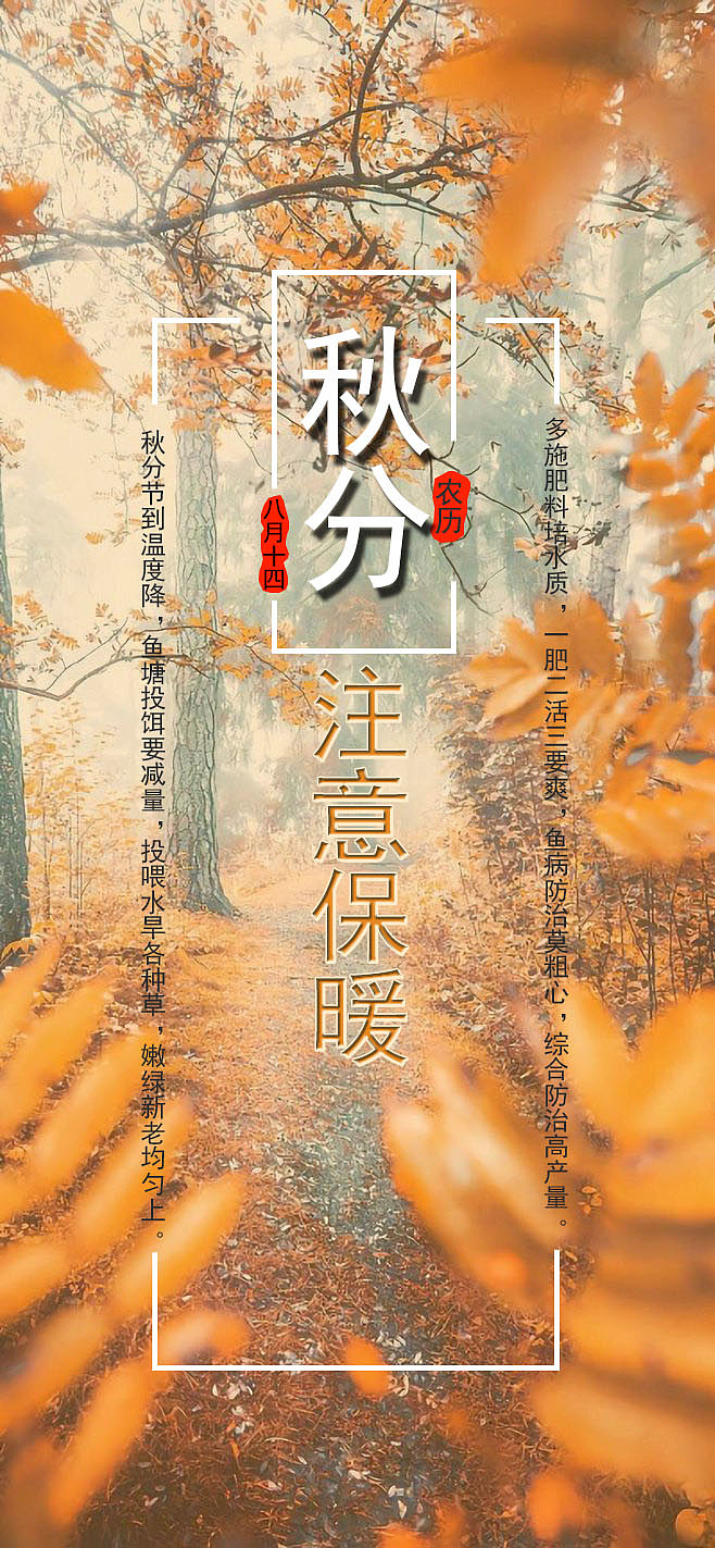 24节气练习|平面|海报|托马斯旋转小火车 - 原创