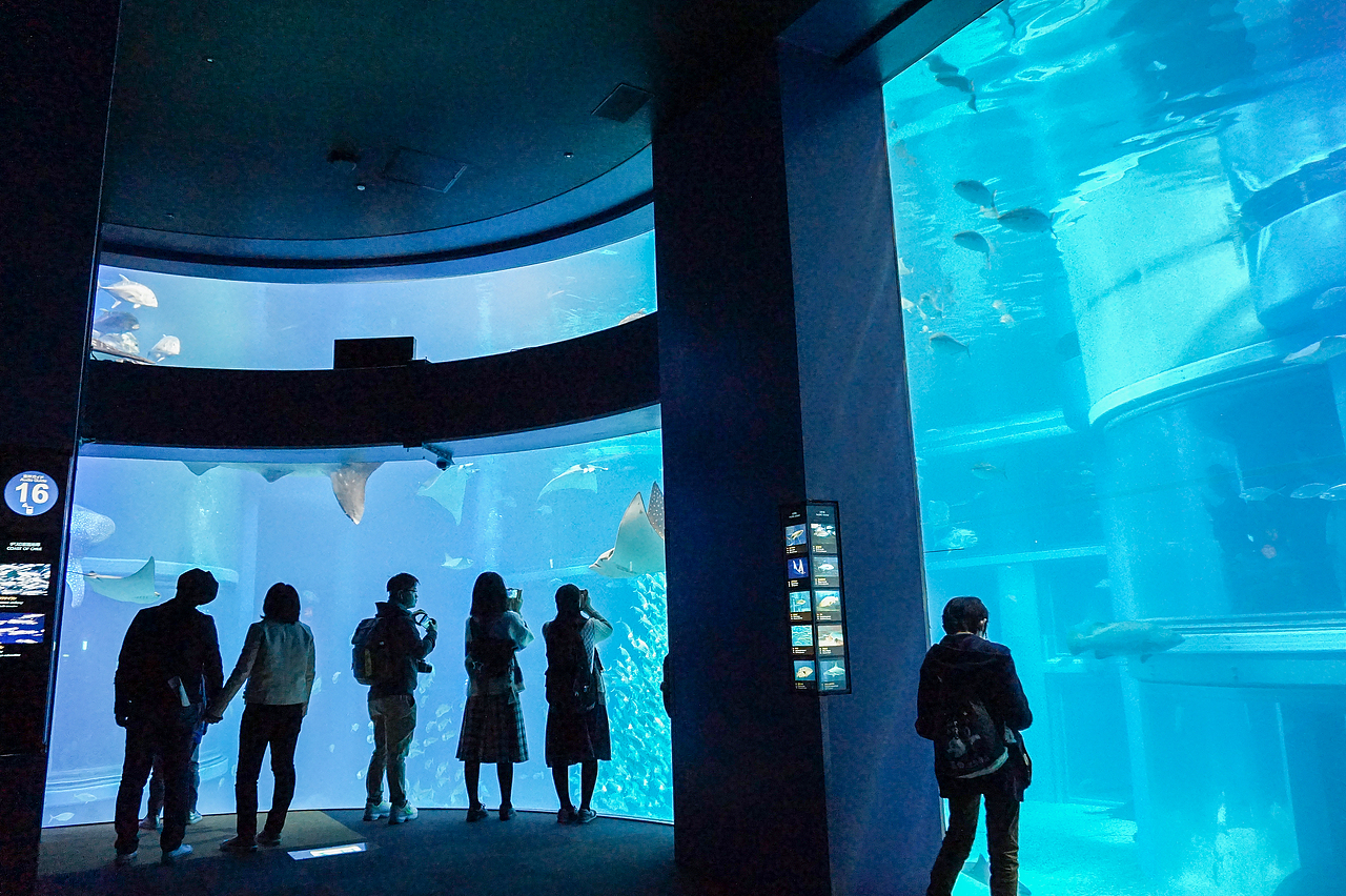 随拍 | 大阪→东京之旅