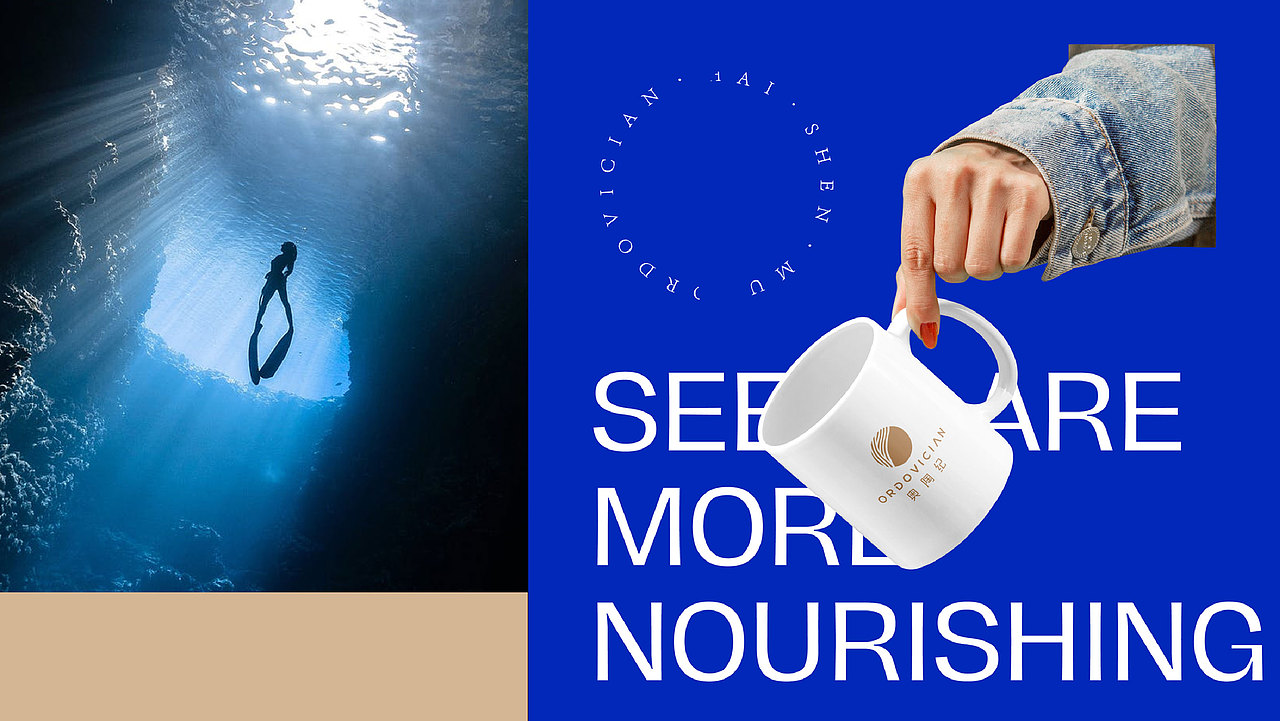 奥陶纪海参母-品牌全案设计（图ZMjgzODI4OTg0） - 品牌 - 站酷设计师一山半海品牌设计原创素材 - 站酷ZCOOL