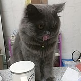 酸甜味可乐的头像