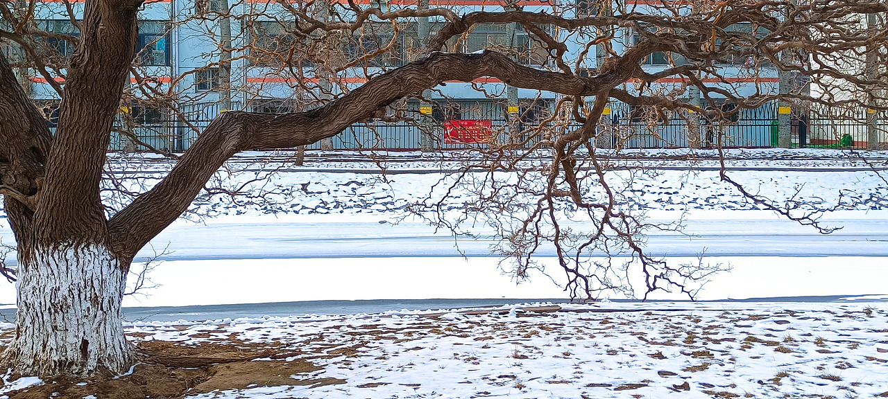 冰雪 树枝（图ZMjg2MzYwODAw） - 风光摄影 - 站酷设计师设计师一大秦原创素材 - 站酷ZCOOL