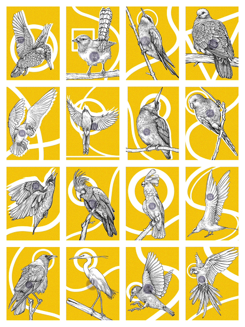 《自然之歌》-百鸟齐鸣节选（更新中）（图ZMzM1MDQ1NjQ4） - 艺术插画 - 站酷设计师灰灰的世界原创素材 - 站酷ZCOOL