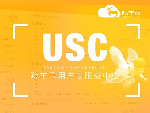 USC羚羊云用户自服务中心/BS客户端/管理控制台