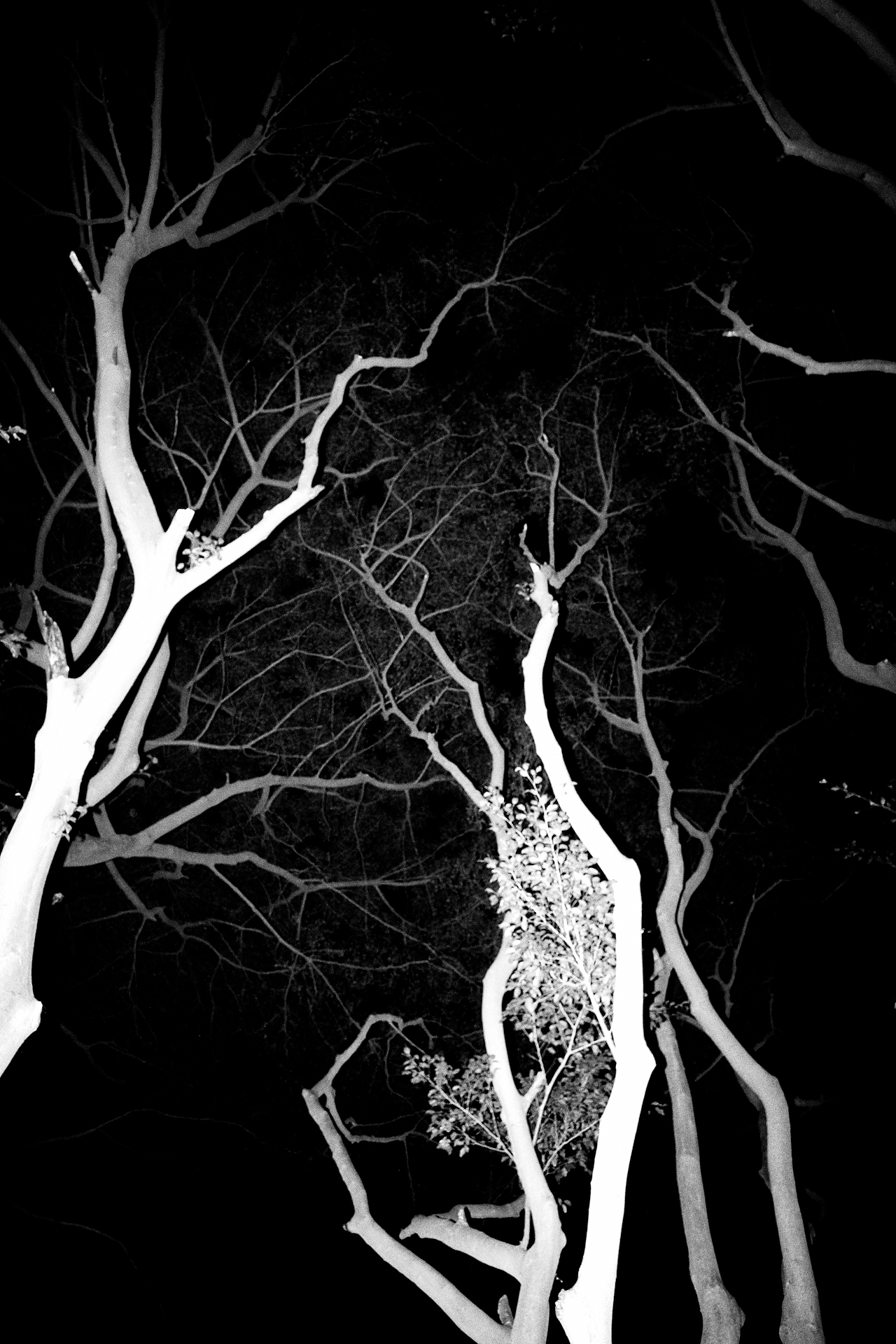 MAY（图ZMjkyNjU3MzA0） - 人像摄影 - 站酷设计师烧镜头原创素材 - 站酷ZCOOL