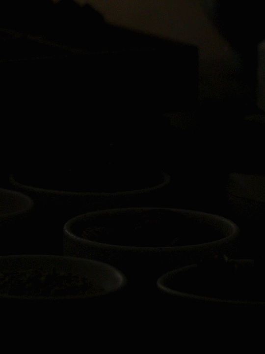 飘零大叔虎皮鸡爪✖️森焱视觉（图ZMjQwMTk0NDky） - 产品摄影 - 站酷设计师森焱摄影原创素材 - 站酷ZCOOL