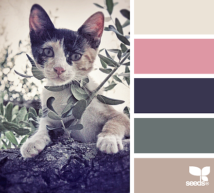 美丽的配色卡啊——04