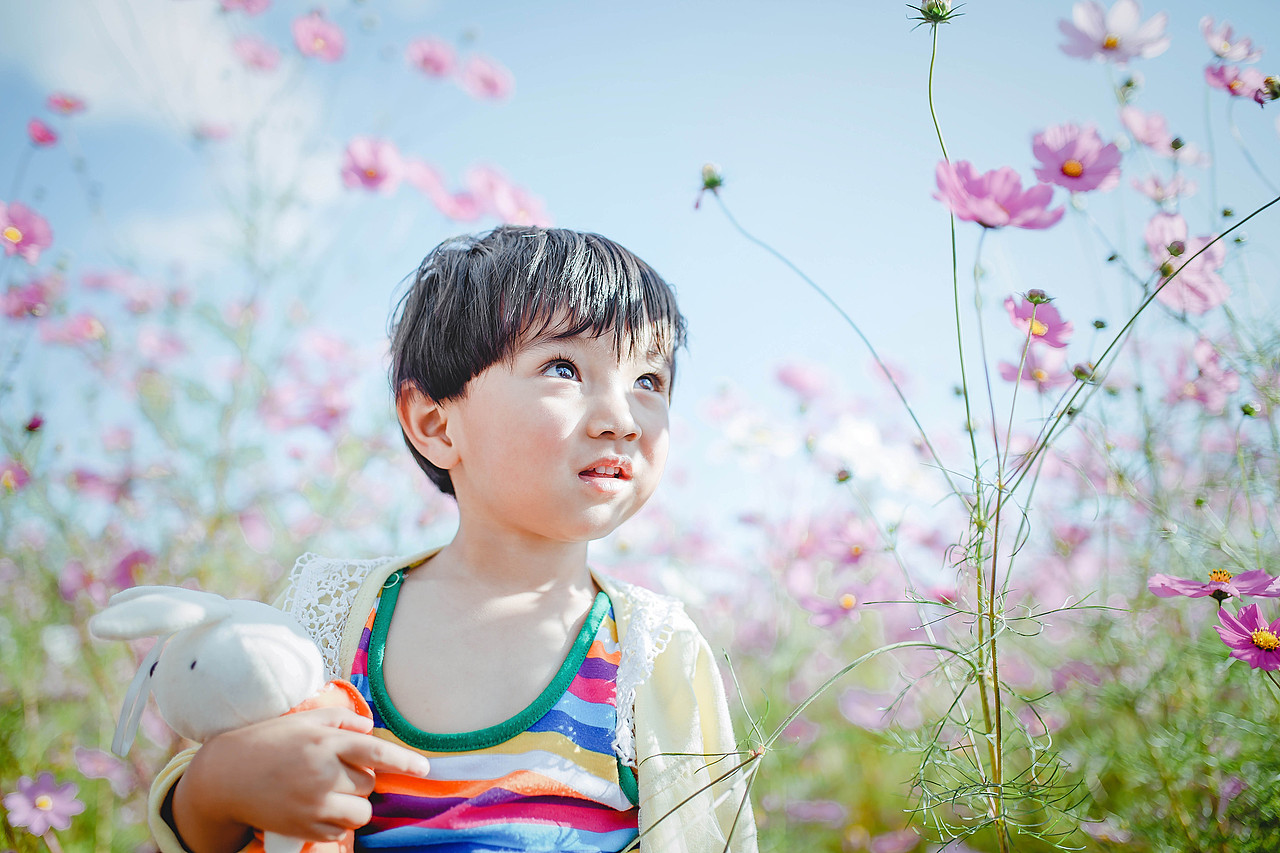 丽江 木楷 2016.10.03