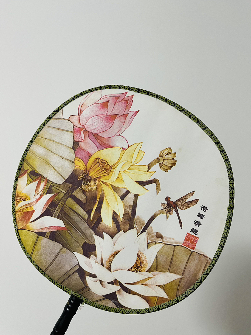 我的小扇子好上镜呀~