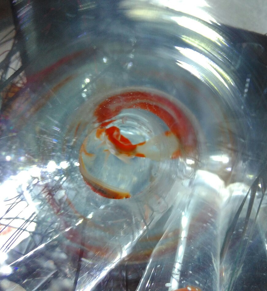 《空间·自由》