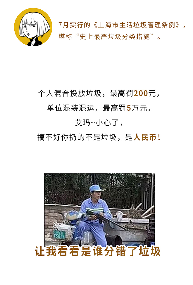 《垃圾分分分分分分分类史》