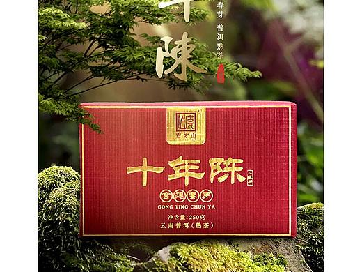 十年陈 普洱茶包装设计