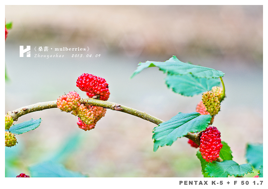 《桑葚.mulberries》（图ZODk2MDQ1Mg==） - 产品摄影 - 站酷设计师haodychou原创素材 - 站酷ZCOOL