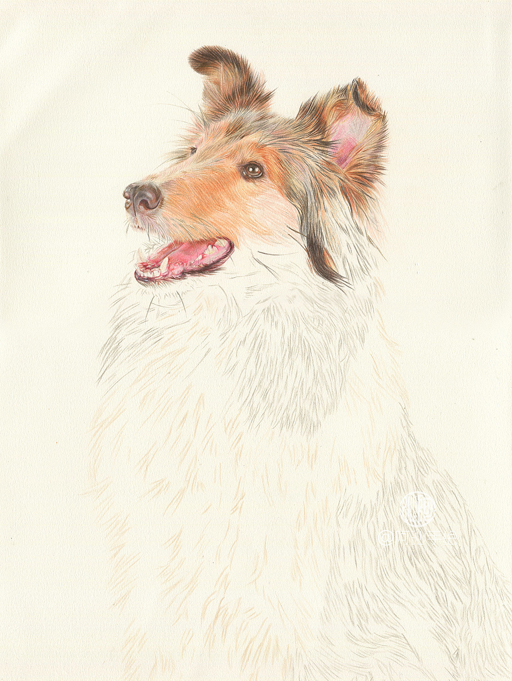 彩铅画喜乐蒂牧羊犬-阿沁作品（图ZMTEzMzUwNTIw） - 绘画 - 站酷设计师煜芮原创素材 - 站酷ZCOOL