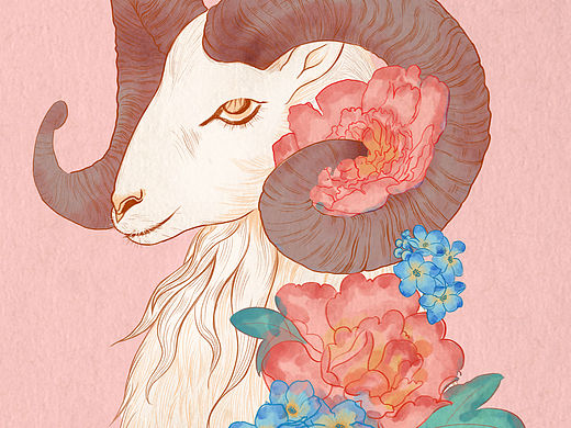 小清新风格包装插画