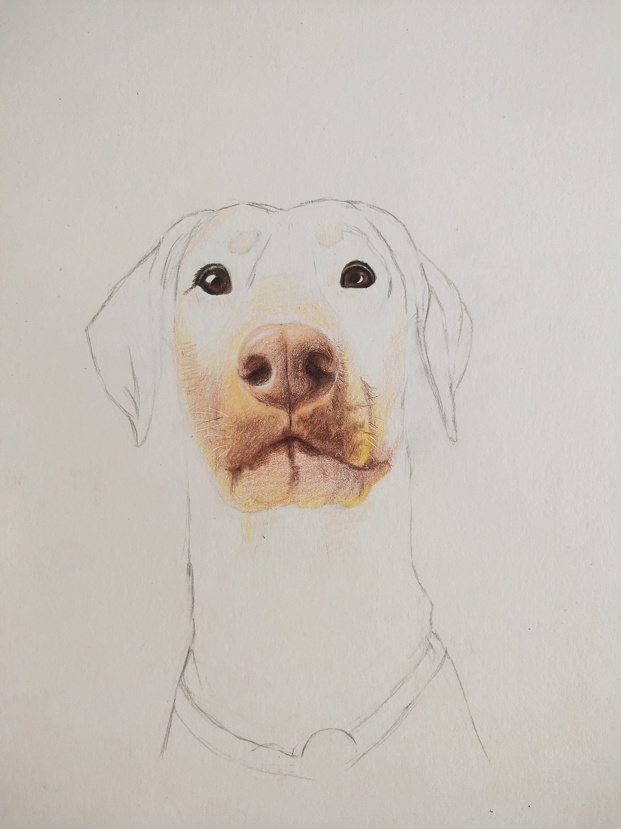 手绘狗狗 杜宾犬火锅（图ZMTk0MzQzMDk2） - 绘本 - 站酷设计师我是一只斑点原创素材 - 站酷ZCOOL