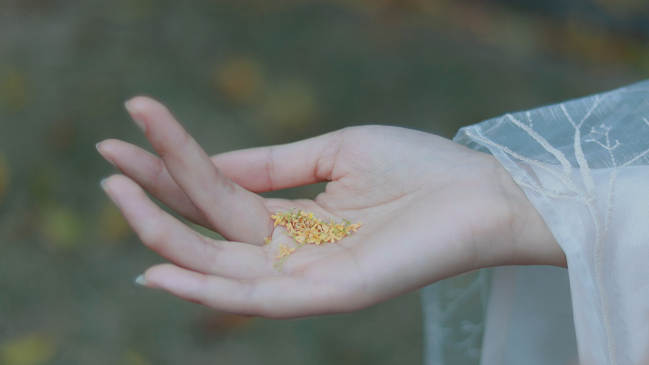 素秋（图ZMTM5NDI4NDg4） - 人像摄影 - 站酷设计师是一舟啊原创素材 - 站酷ZCOOL