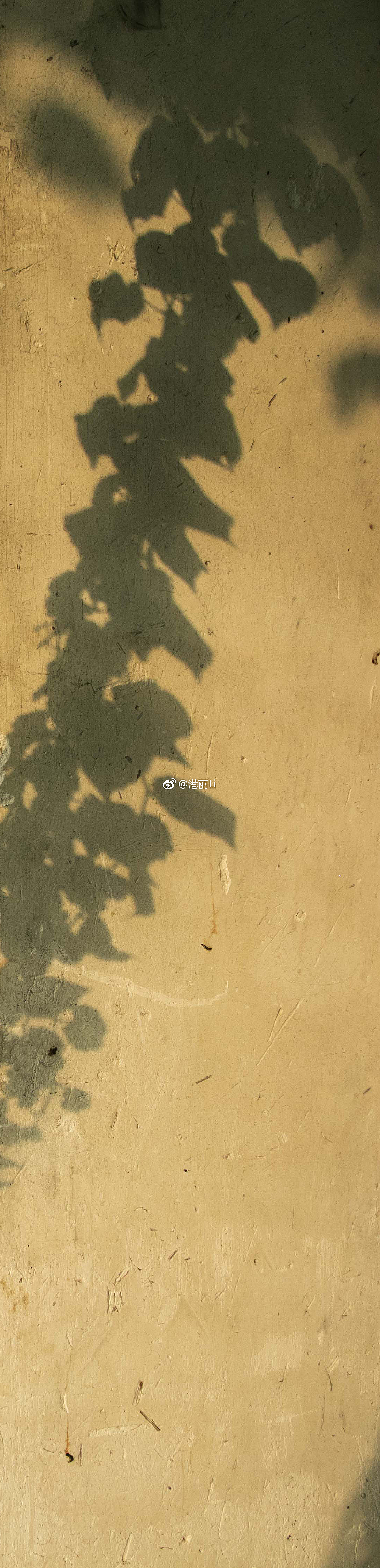 《“光”与“影”》