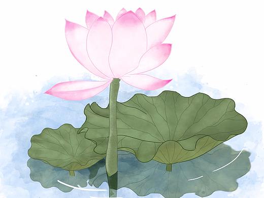荷花（個人主頁-ZMzgwMjUwMDA=） - 創(chuàng)作習作 - 站酷設(shè)計師王沈原創(chuàng)素材 - 站酷ZCOOL