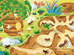 昆虫绘本（已商用）