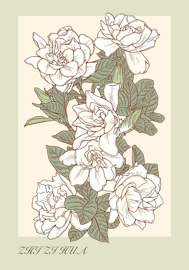 花卉系列|栀子花