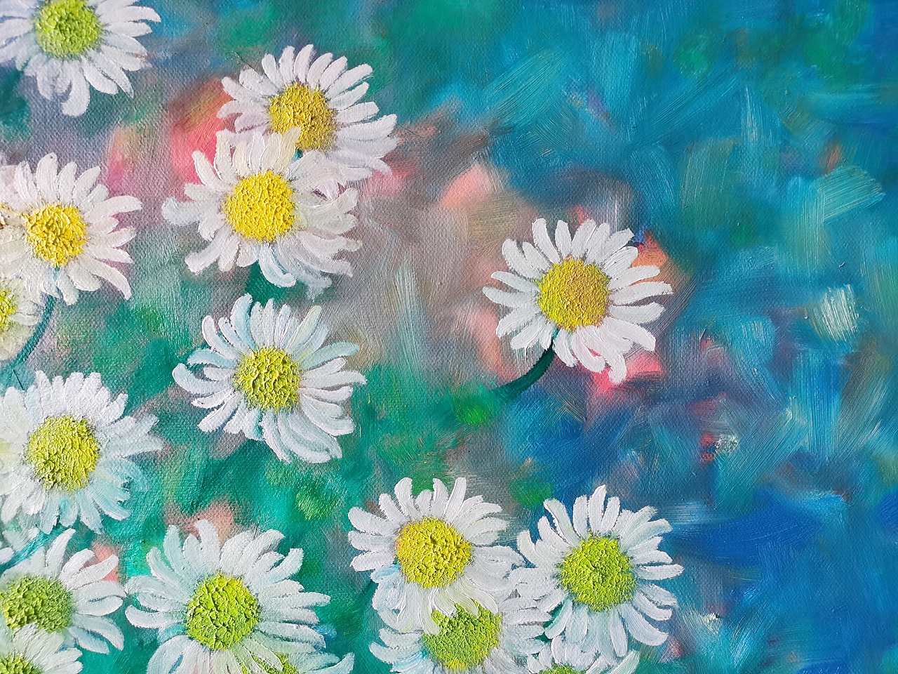 自在摇曳的小雏菊