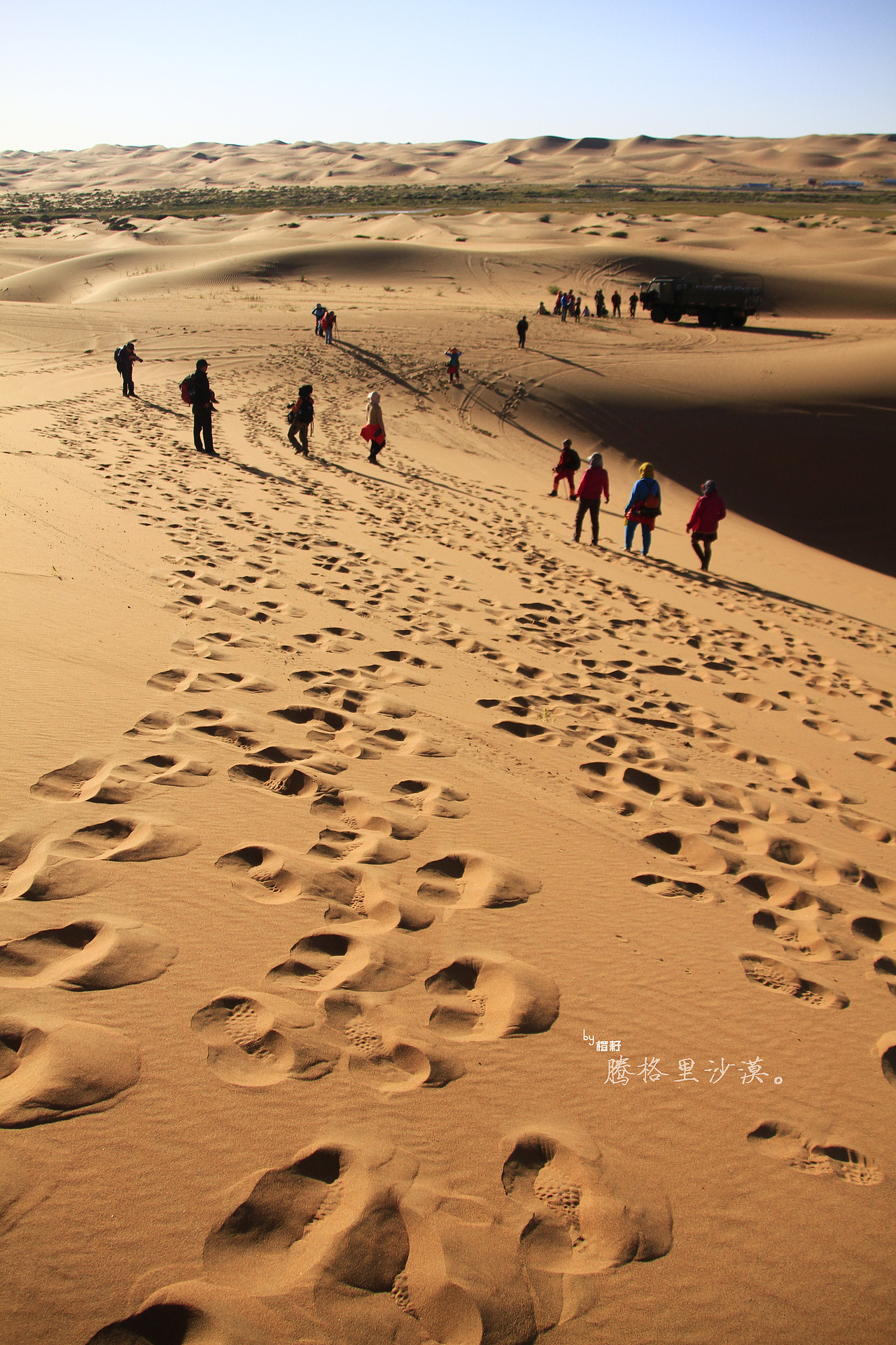 2012年十一额济纳之行（图ZODMzODk0NA==） - 风光摄影 - 站酷设计师马东东原创素材 - 站酷ZCOOL