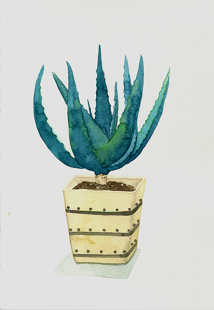 小清新植物系列《一》（图ZOTMwODcyODg=） - 创作习作 - 站酷设计师茉白roman原创素材 - 站酷ZCOOL