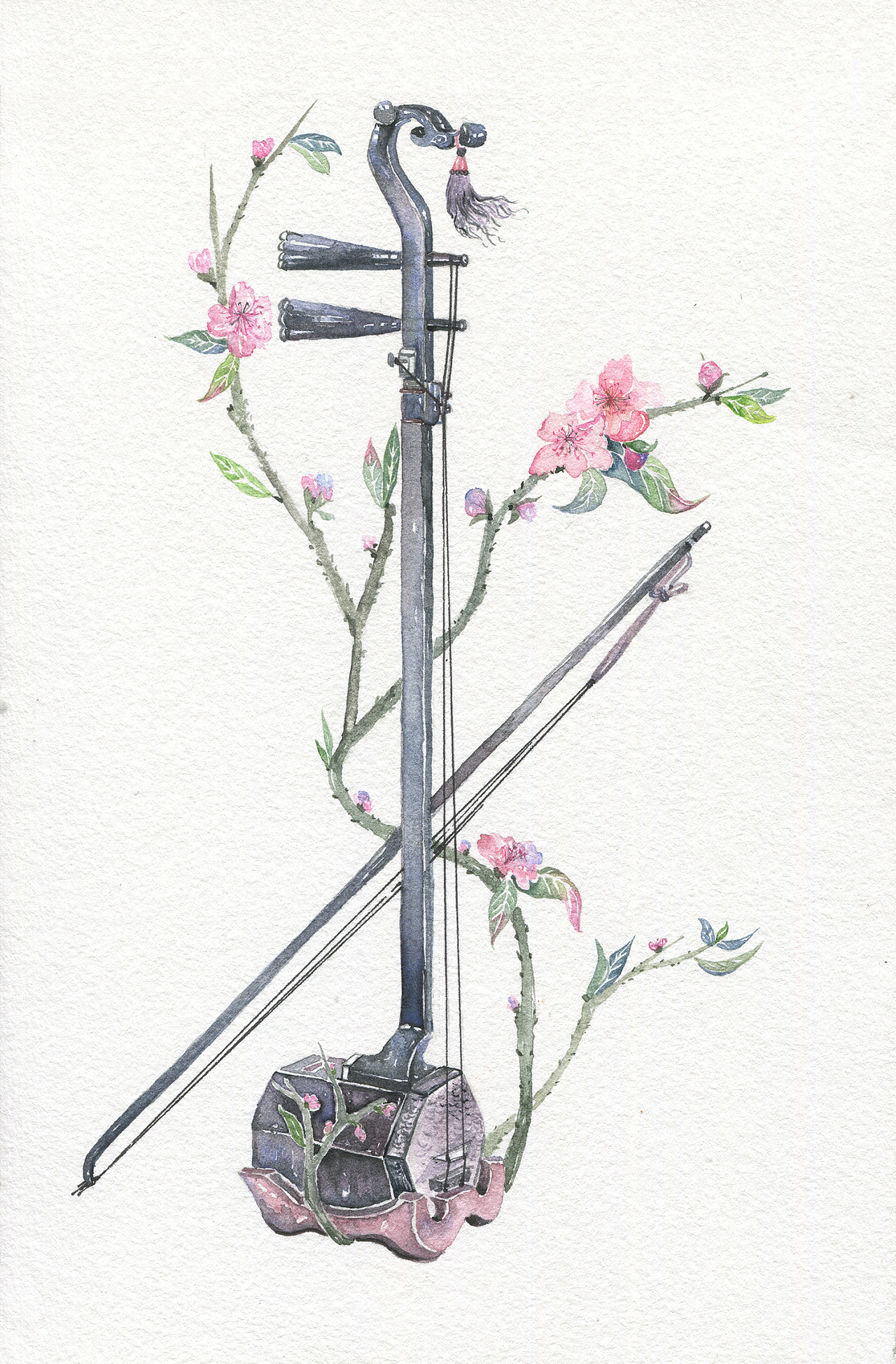 乐器|插画|商业插画|懒懒灰兔 - 原创作品 - 站酷 (zcool)