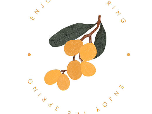 五月枇杷黄似橘