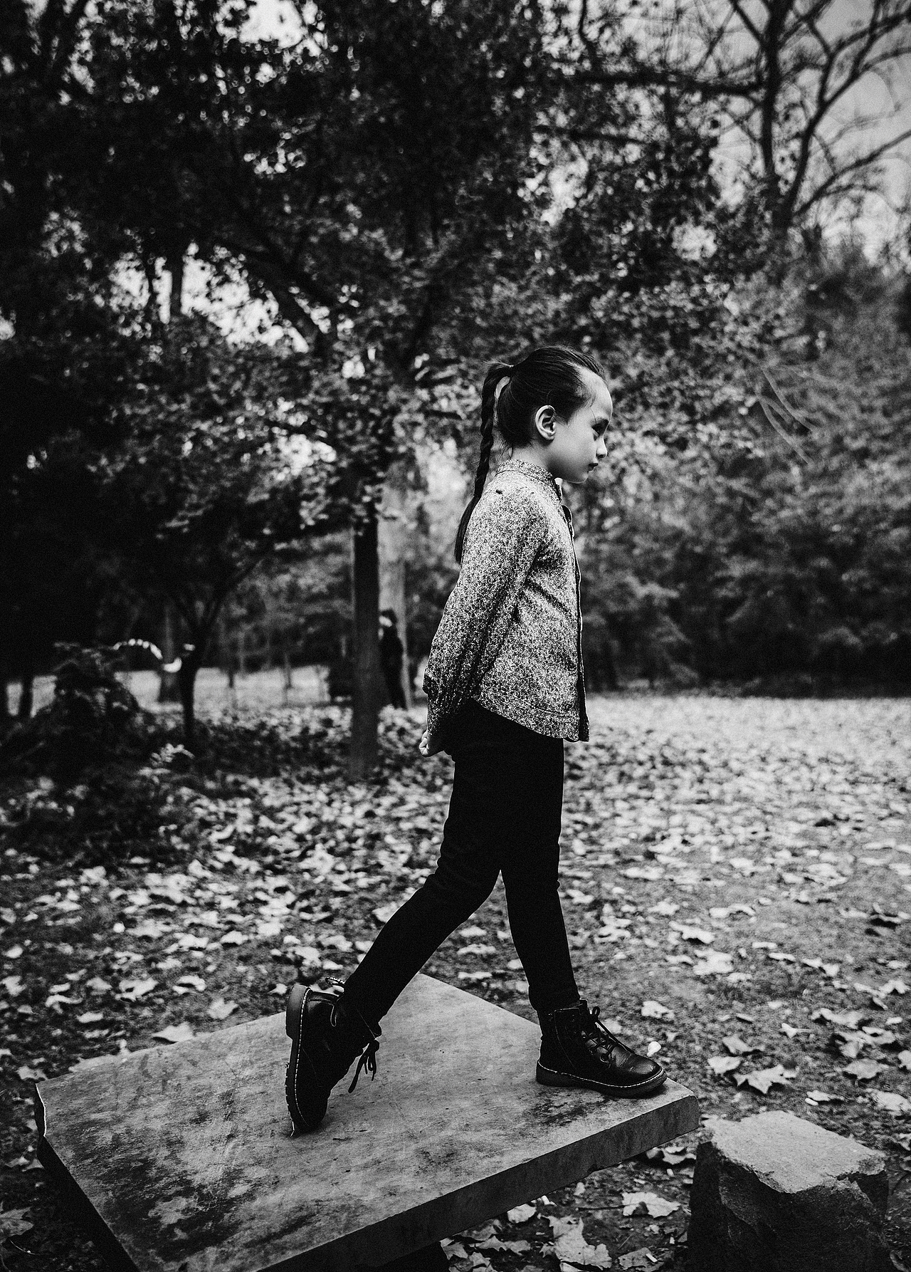 想要从你的眼睛里看到这座世界花园