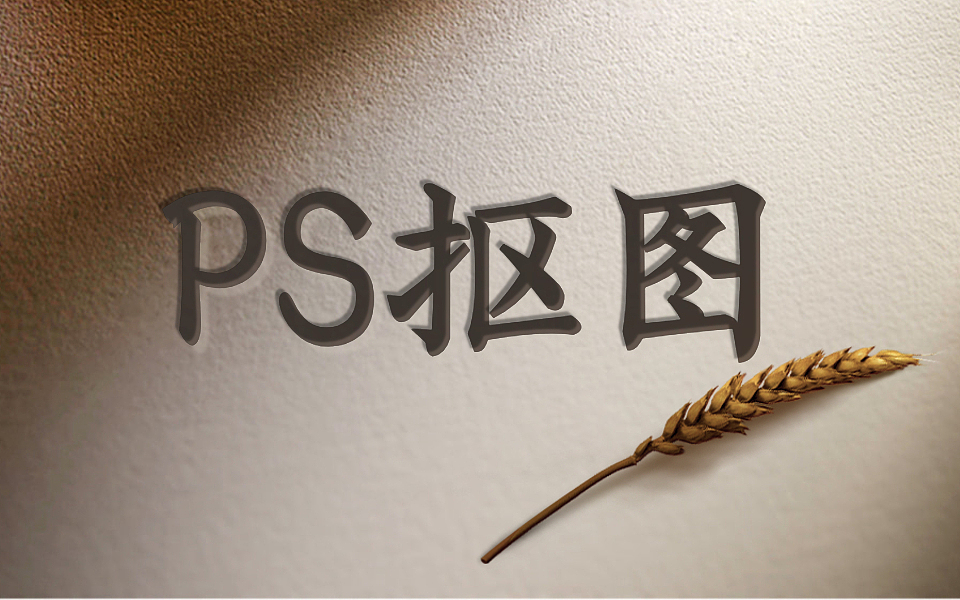 一节专门为小白定制的PS教程,PS的九大抠图方法