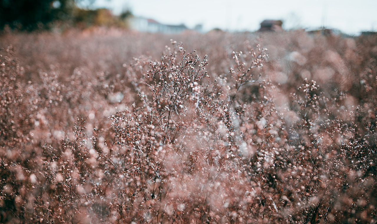 2020春节农村随拍