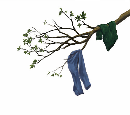 风也会轻柔的了无痕迹