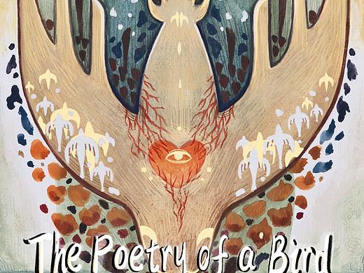 The Poetry of a Bird